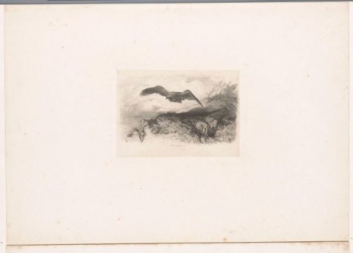 Flying eagle
