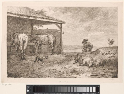 Pigs and man at a stable