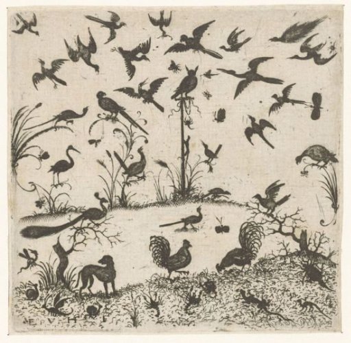 Birds