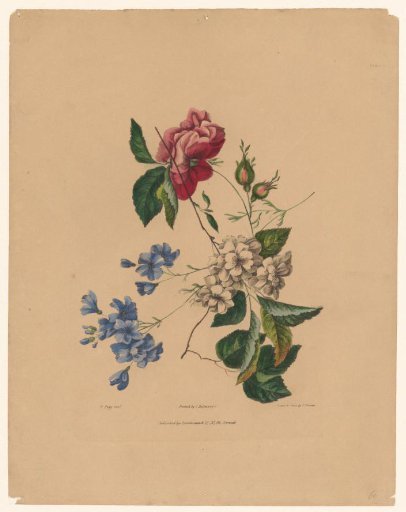Flowers with roses and blossoms