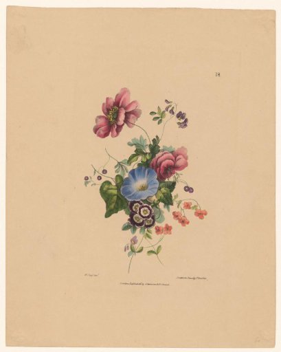 Flowers with blue bindweed