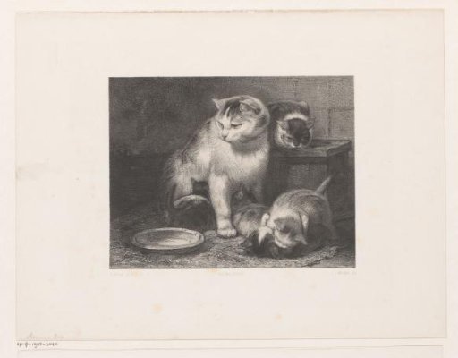Cat with a Boy