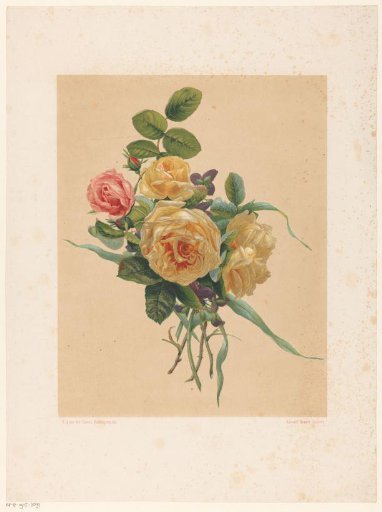 Bunch of roses and violets