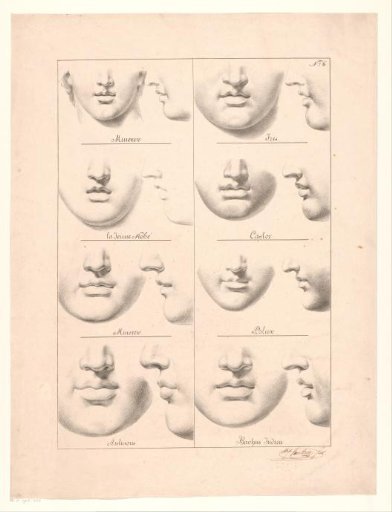 Studies of mouths and noses