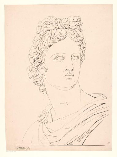Bust of Apollo