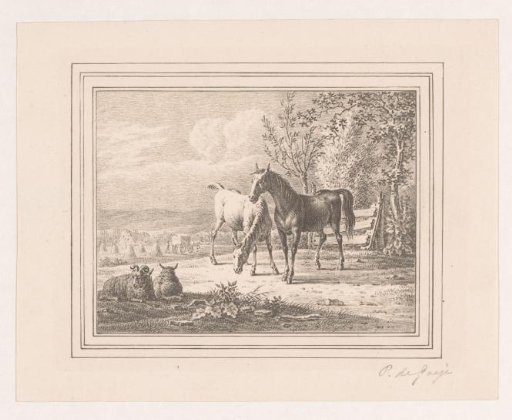 Two horses and two sheep in a meadow