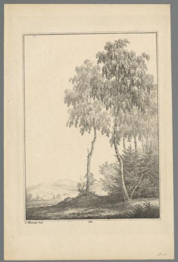 Two trees in a mountain landscape