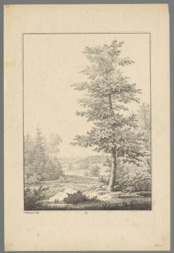 Landscape with a tree