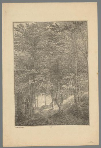 Two hunters in a forest