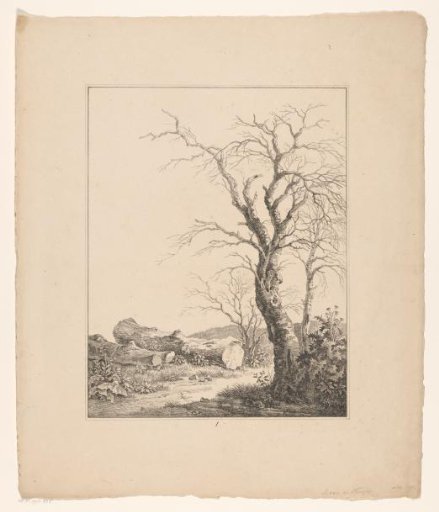 Tree and trunks
