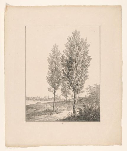 Three trees by a fence