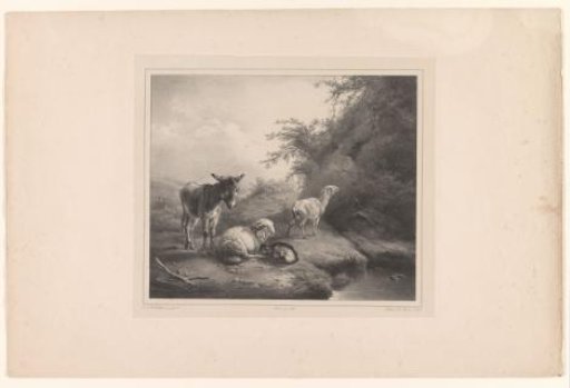 Landscape with donkey and sheep