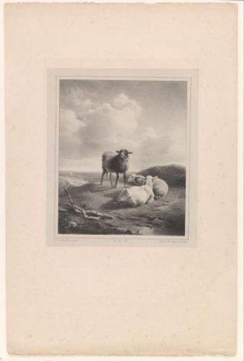 Landscape with three sheep