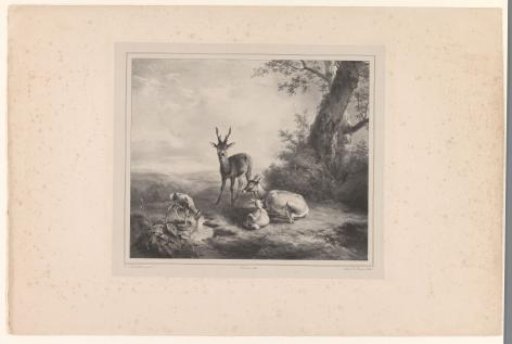 Landscape with deer
