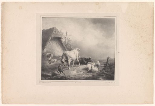 Cattle in a meadow near a barn