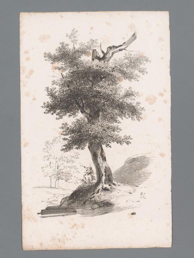 Landscape with a tree