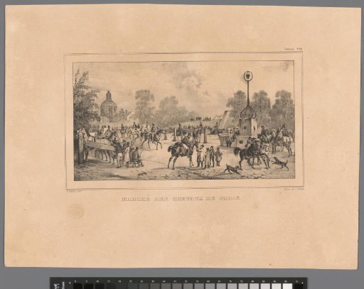 Horse market in Paris
