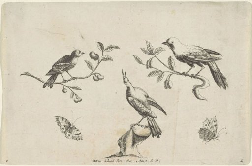 Two birds on a branch, a bird on a stump and two butterflies