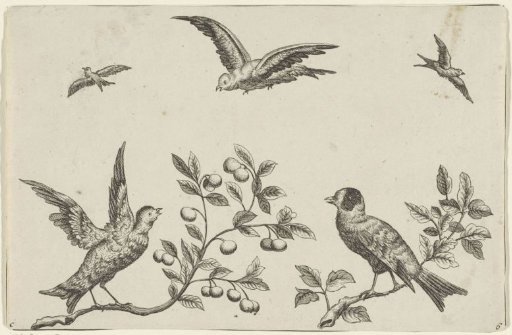 Two birds on a branch and three birds in the air