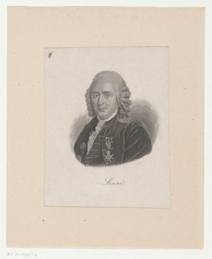 Portrait of Carl Linnaeus
