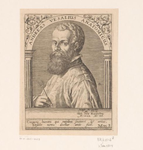 Portrait of Andreas Vesalius