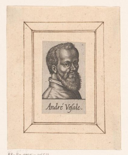 Portrait of Andreas Vesalius