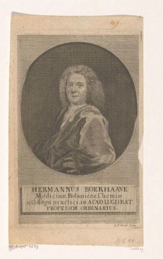 Portrait of Hermanus Boerhave