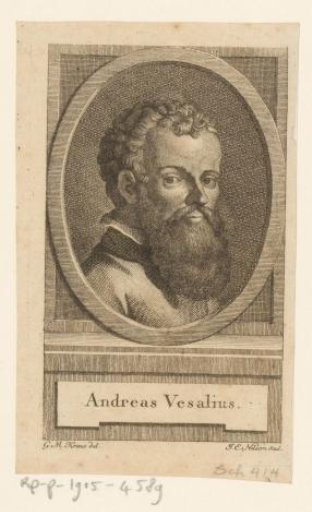 Portrait of Andreas Vesalius