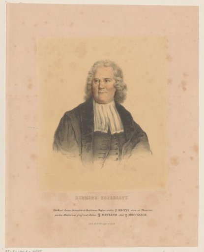 Portrait of Hermanus Boerhaave