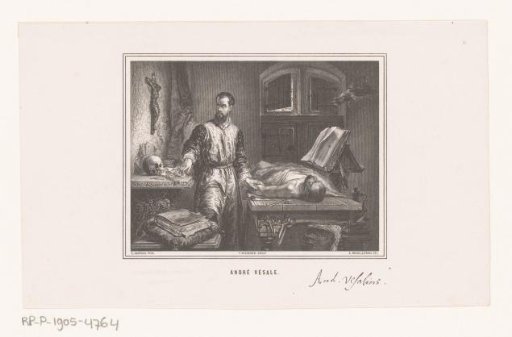 Andreas Vesalius in His Workshop