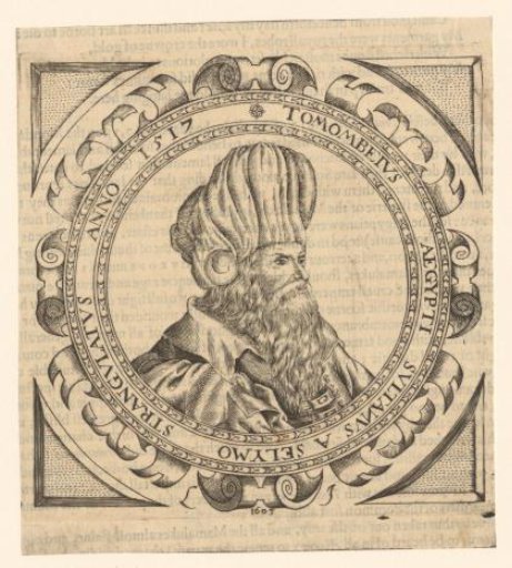 Portrait of Sultan Tuman Bay II