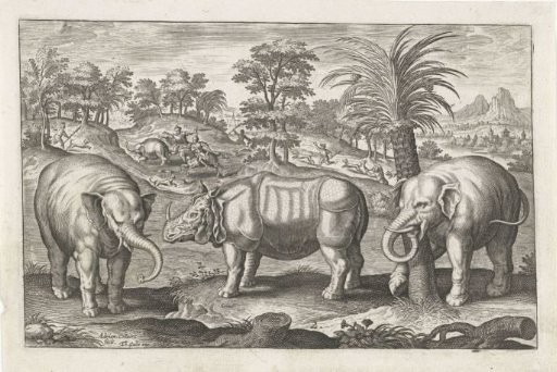 Elephants and rhinoceros