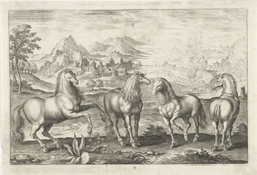 Horses