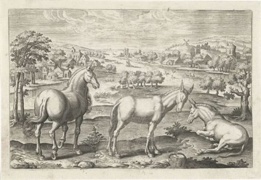 Horse and donkeys