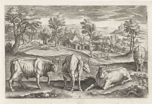 Cattle
