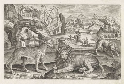 Lions and leopard