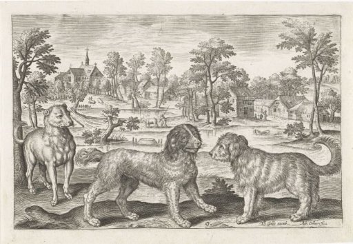 Dogs