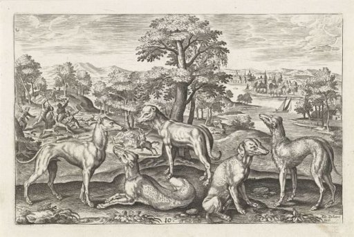 Hunting dogs