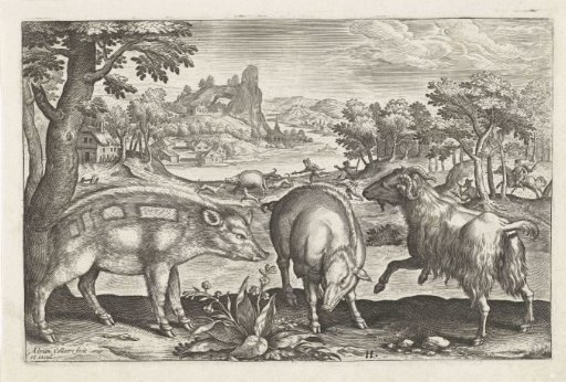 Goat and pigs