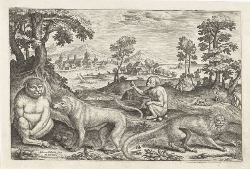 Apes