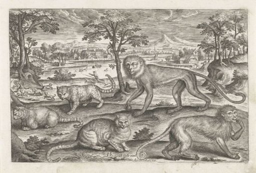 Apes and cats