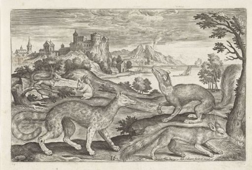 Martens, squirrels and a fox