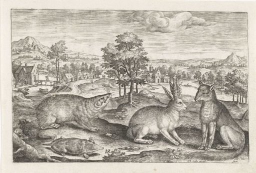 Forest animals