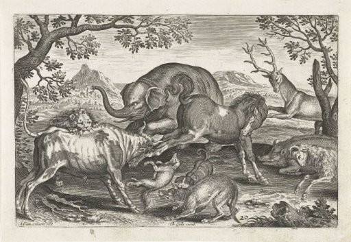 Fighting animals