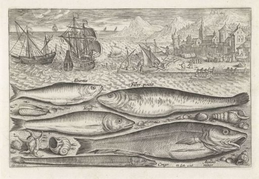 Five Fish on the Beach