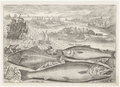 Three Fish on the Beach