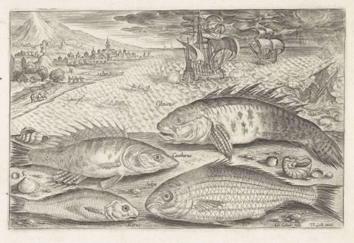 Four Fish on the Beach