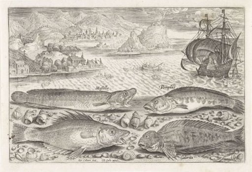 Four Fish on the Beach