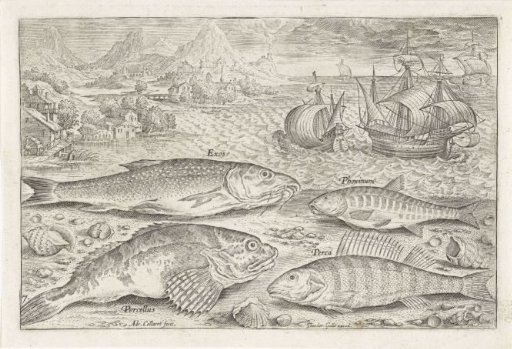 Four Fish on the Beach