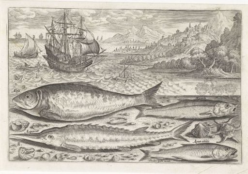 Four Fish on the Beach